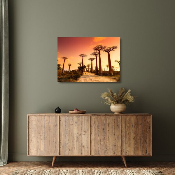 Üveg kép - Naplemente a Baobab Alley-ben (70x50 cm)