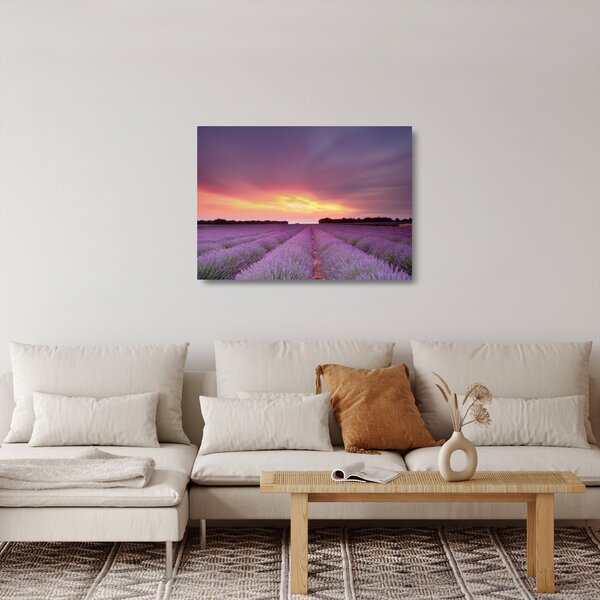 Üveg kép - Levendula mező (70x50 cm)
