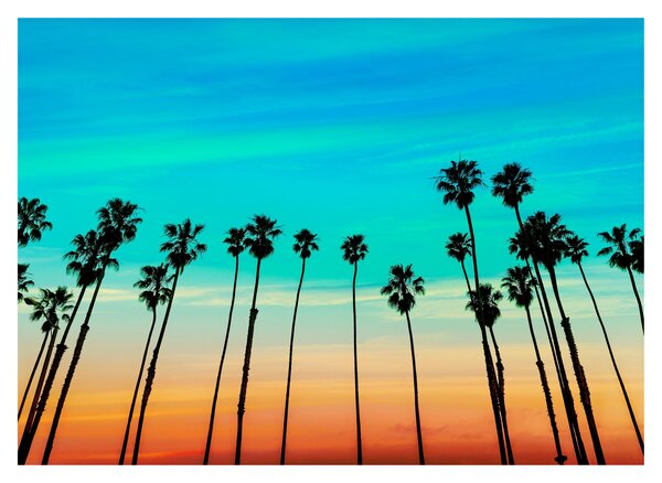Üveg kép - Kalifornia (70x50 cm)