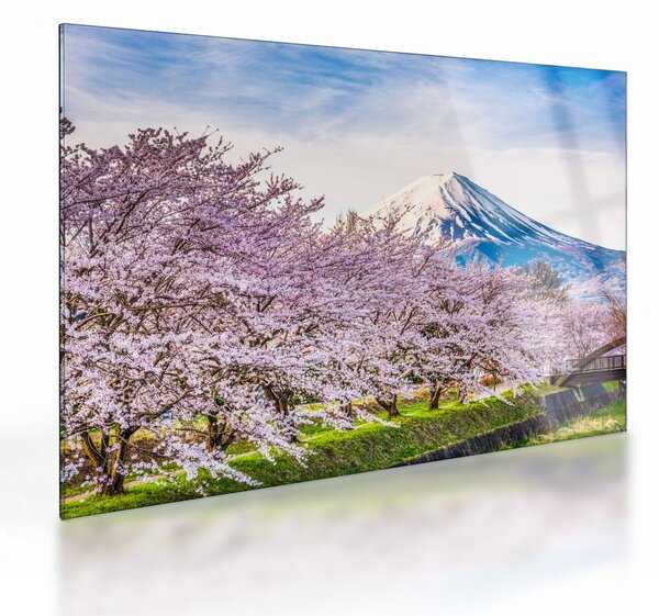 Üveg kép - Japán tavasszal (70x50 cm)