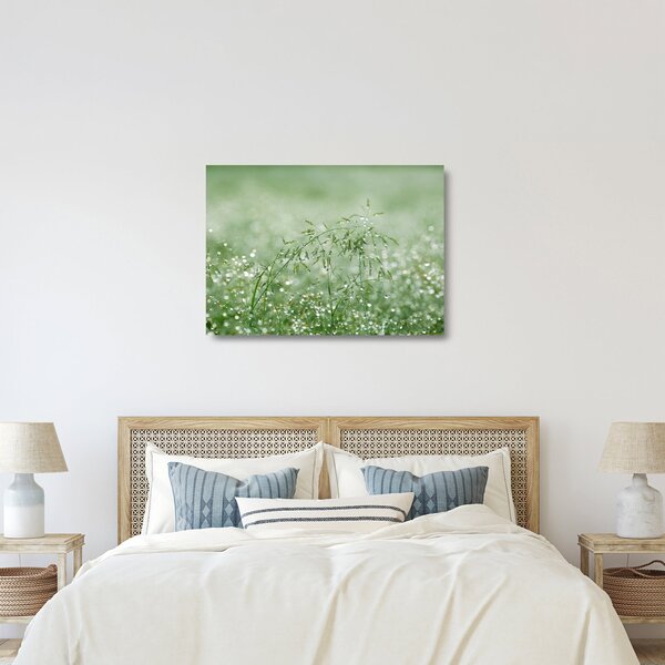 Üveg kép - Reggeli harmat a fűszálakon (70x50 cm)