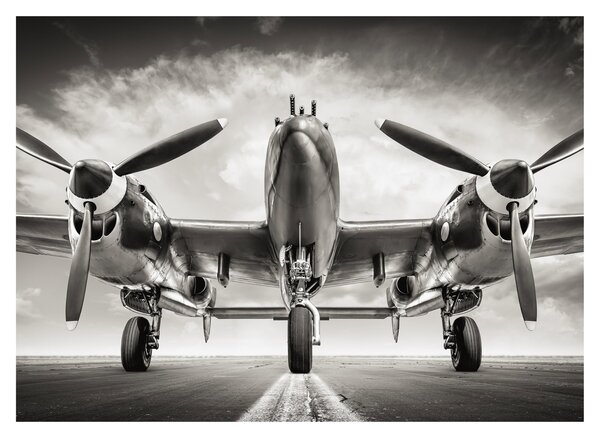 Üveg kép - Warbird (70x50 cm)