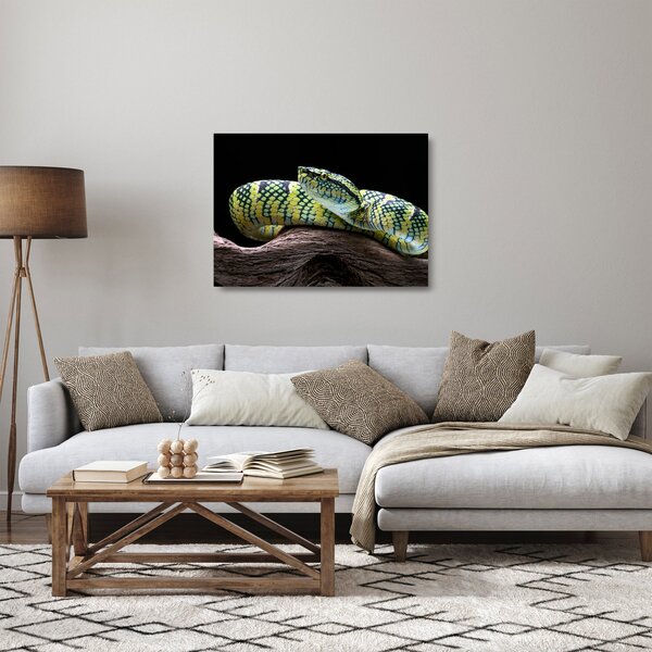 Üveg kép - Wagler csörgőkígyó (70x50 cm)