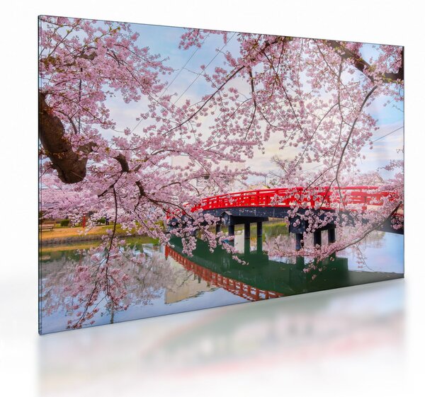 Üveg kép - Hirosaki, Japán (70x50 cm)