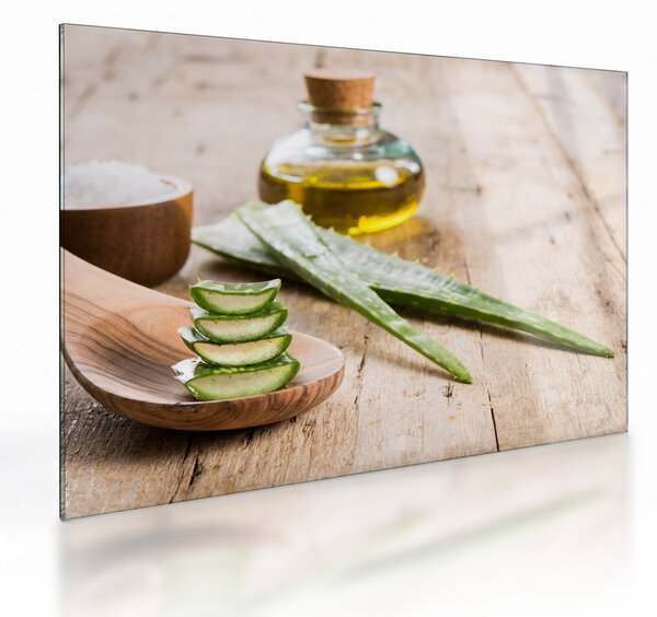 Üveg kép - Aloe vera (70x50 cm)