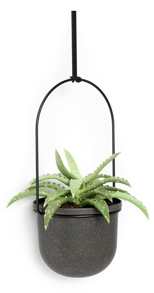 Műanyag kaspó szett 5 db-os fűszernövényekhez -függő ø 7,5 cm Triflora – Umbra
