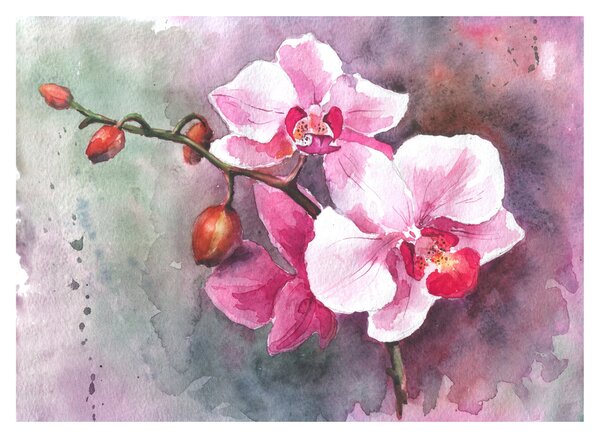 Üveg kép - Orchideák, akvarell (70x50 cm)