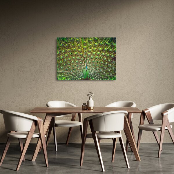 Üveg kép - Páva (70x50 cm)