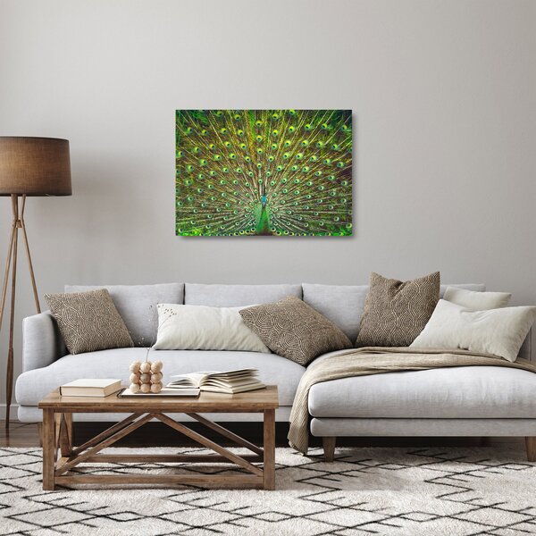 Üveg kép - Páva (70x50 cm)