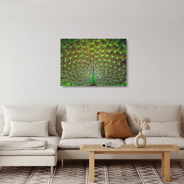 Üveg kép - Páva (70x50 cm)