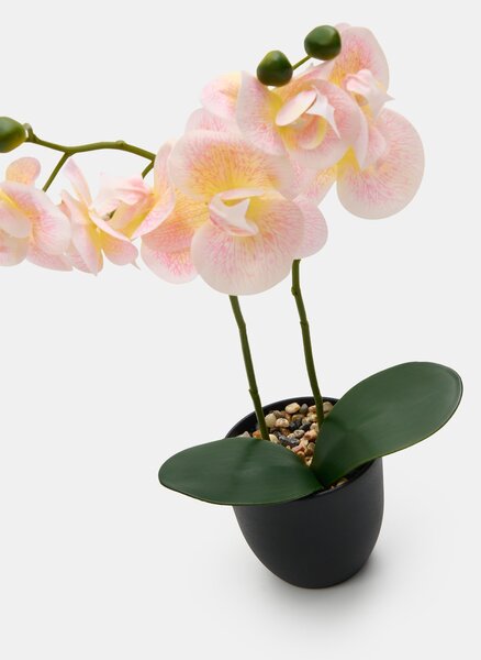 Sinsay - Mesterséges dekoratív orchidea cserépben - pasztellpink
