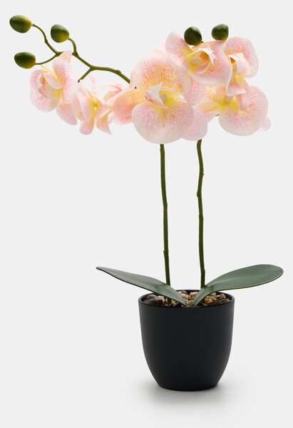 Sinsay - Mesterséges dekoratív orchidea cserépben - pasztellpink