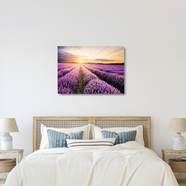 Üveg kép - Napfelkelte levendulamezőn (70x50 cm)