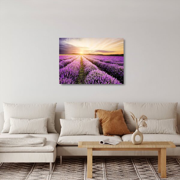 Üveg kép - Napfelkelte levendulamezőn (70x50 cm)