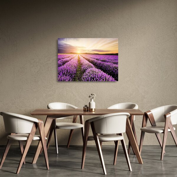 Üveg kép - Napfelkelte levendulamezőn (70x50 cm)
