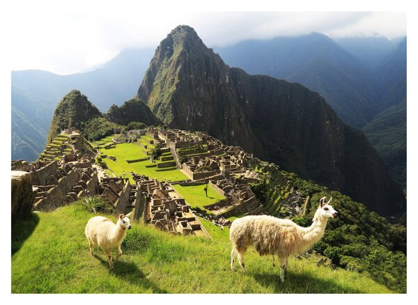 Üveg kép - Machu Picchu (70x50 cm)