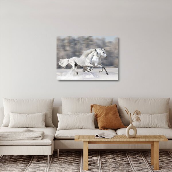 Üveg kép - Fehér lovak télen (70x50 cm)