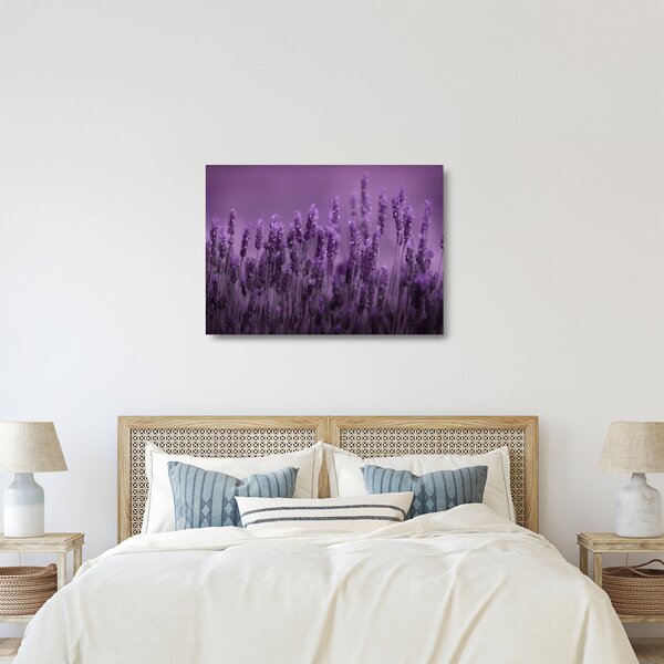 Üveg kép - Levendula (70x50 cm)
