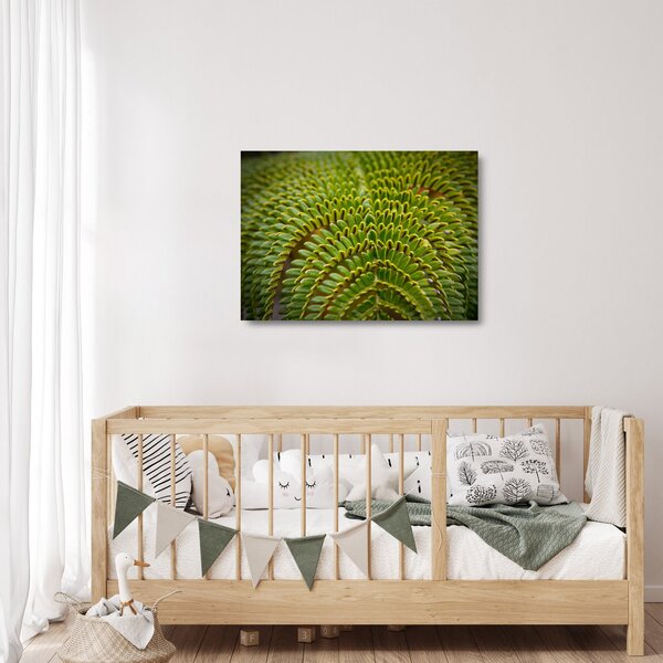 Üveg kép - Fern (70x50 cm)