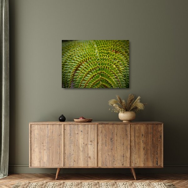 Üveg kép - Fern (70x50 cm)
