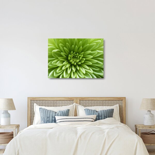 Üveg kép - Makro kép egy növényről (70x50 cm)