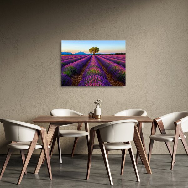 Üveg kép - Levendula mező (70x50 cm)