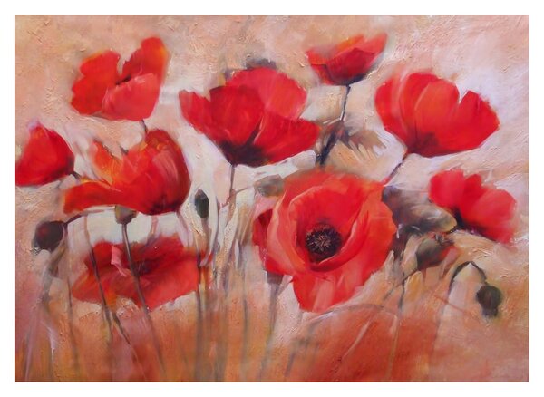 Üveg kép - Farkas mák (70x50 cm)
