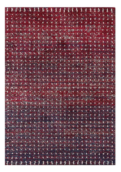 Royal cseresznyepiros/tengerészkék szőnyeg 160x230cm