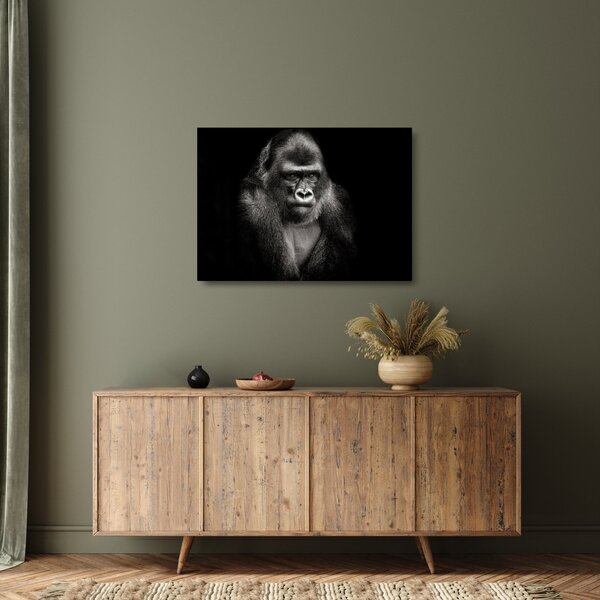 Üveg kép - Gorilla (70x50 cm)