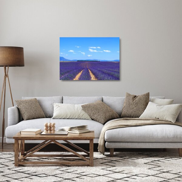 Üveg kép - Levendula mező (70x50 cm)