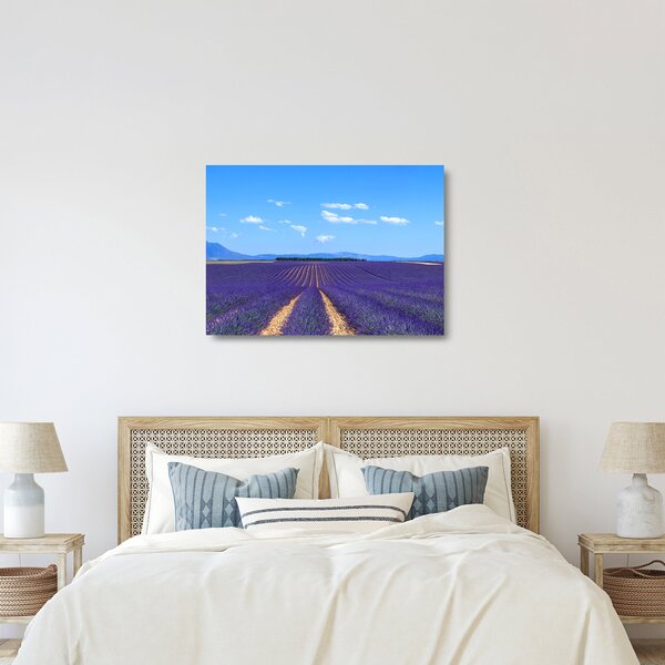 Üveg kép - Levendula mező (70x50 cm)