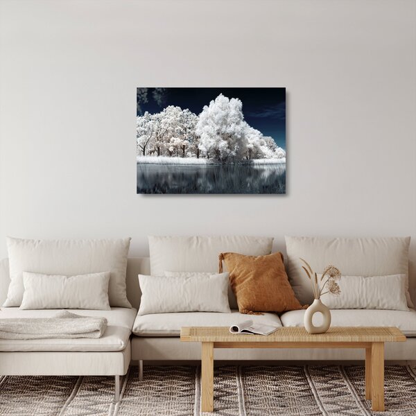 Üveg kép - Hófehér fák (70x50 cm)