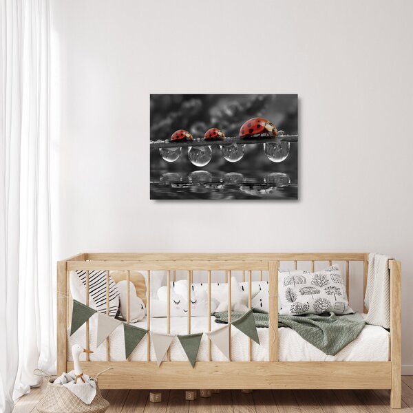 Üveg kép - Napraforgó, fekete-fehér (70x50 cm)