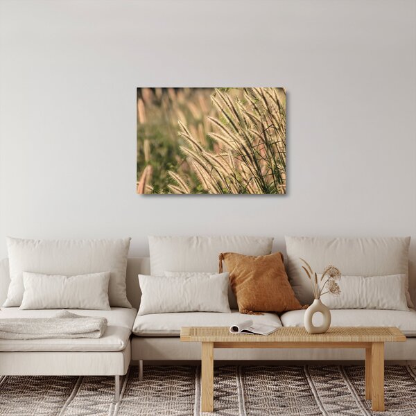 Üveg kép - Gabona (70x50 cm)