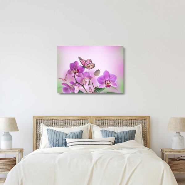 Üveg kép - Pillangó orchidea virágon, lila (70x50 cm)