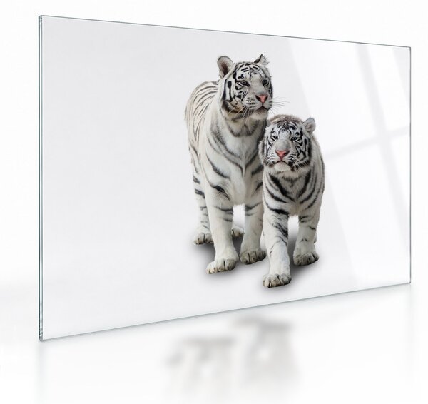 Üveg kép - A fehér tigris (70x50 cm)