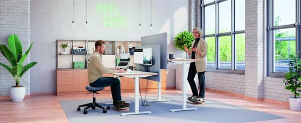 Egyensúlyozó deszka, ergonómiai, LEITZ Ergo Active 360 (E66440089)