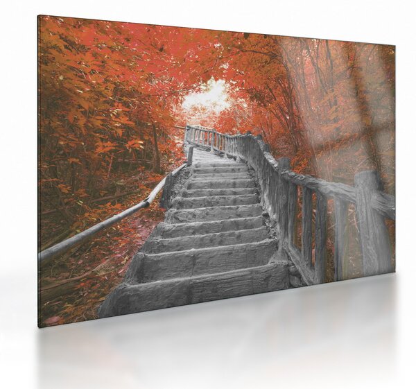 Üveg kép - Lépcsők a természetben, narancssárga (70x50 cm)
