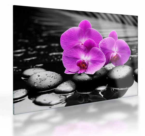Üveg kép - Lila orchideák (70x50 cm)