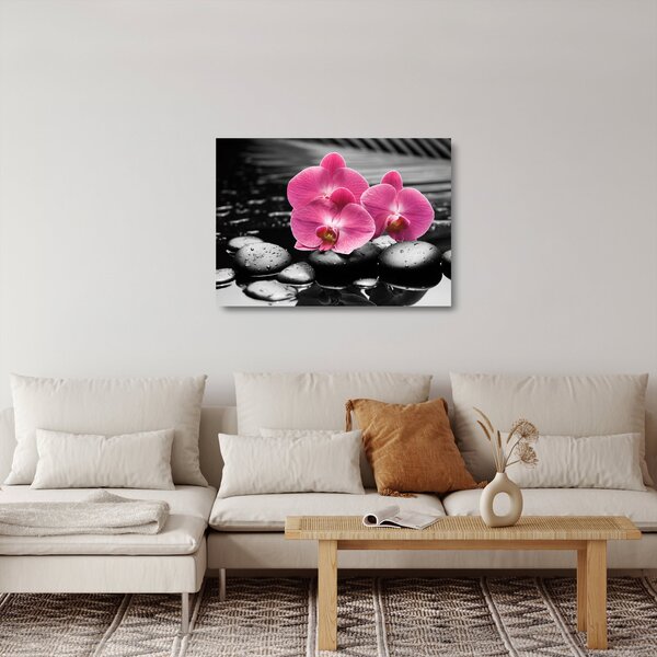 Üveg kép - Rózsaszín orchideák (70x50 cm)