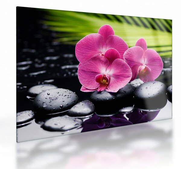 Üveg kép - Rózsaszín orchidea pálmalevéllel (70x50 cm)
