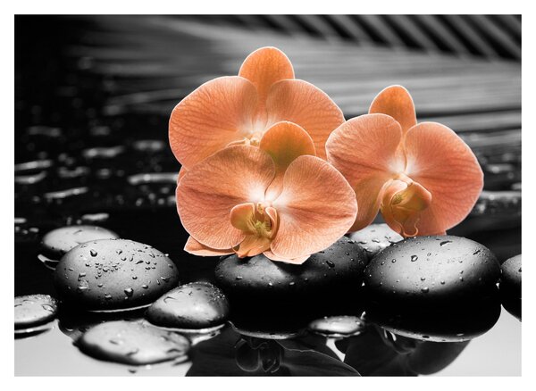 Üveg kép - Narancssárga orchideák (70x50 cm)