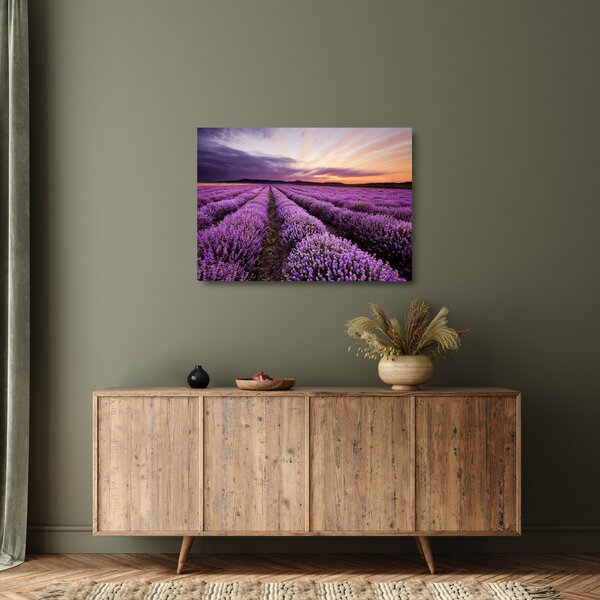 Üveg kép - Levendulamező naplementében (70x50 cm)