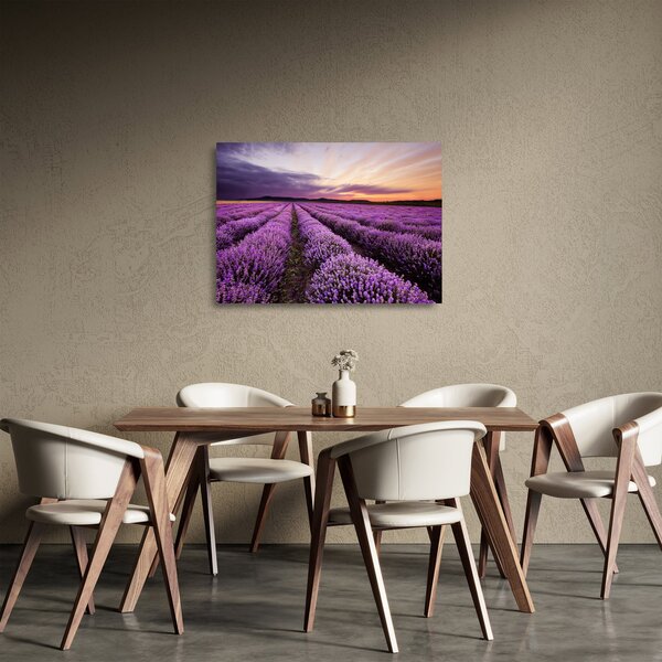 Üveg kép - Levendulamező naplementében (70x50 cm)