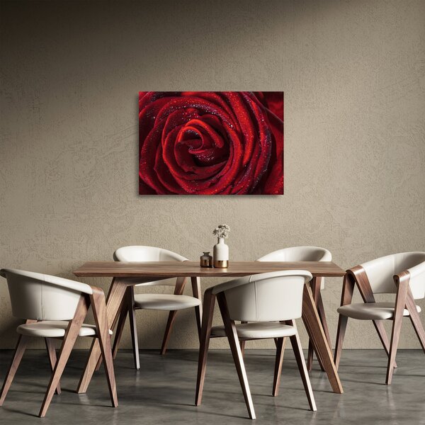 Üveg kép - Vörös rózsa harmatcseppekkel (70x50 cm)