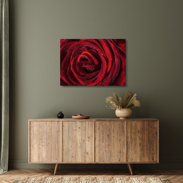 Üveg kép - Vörös rózsa harmatcseppekkel (70x50 cm)