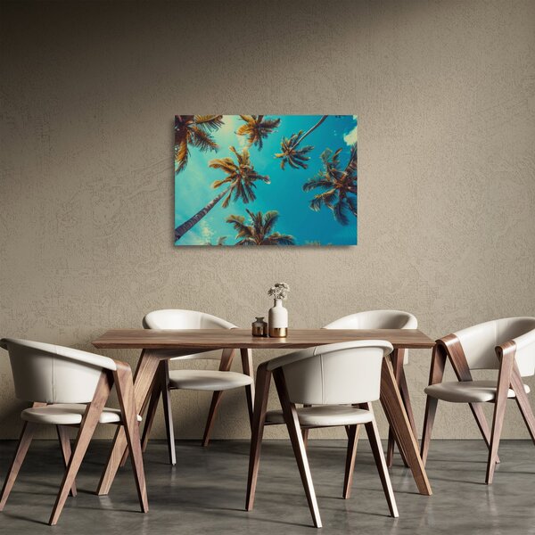 Üveg kép - Magas pálmafák (70x50 cm)