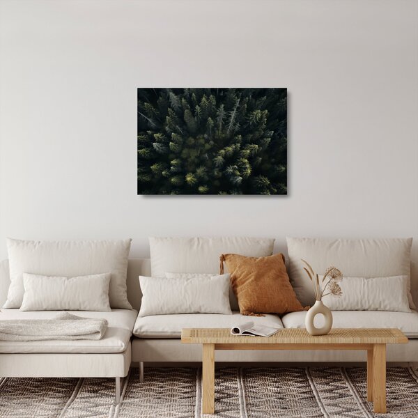 Üveg kép - Forest (70x50 cm)