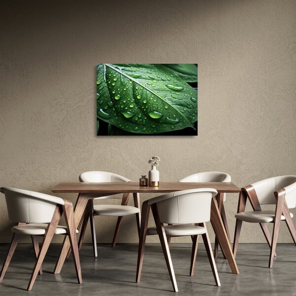 Üveg kép - Részlet levél eső után (70x50 cm)