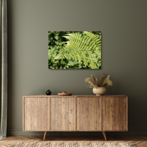 Üveg kép - Páfránylevél (70x50 cm)